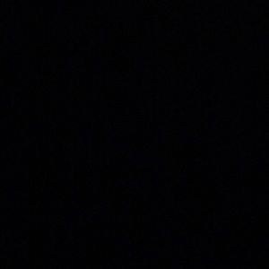 Meet your Posher, Ricky